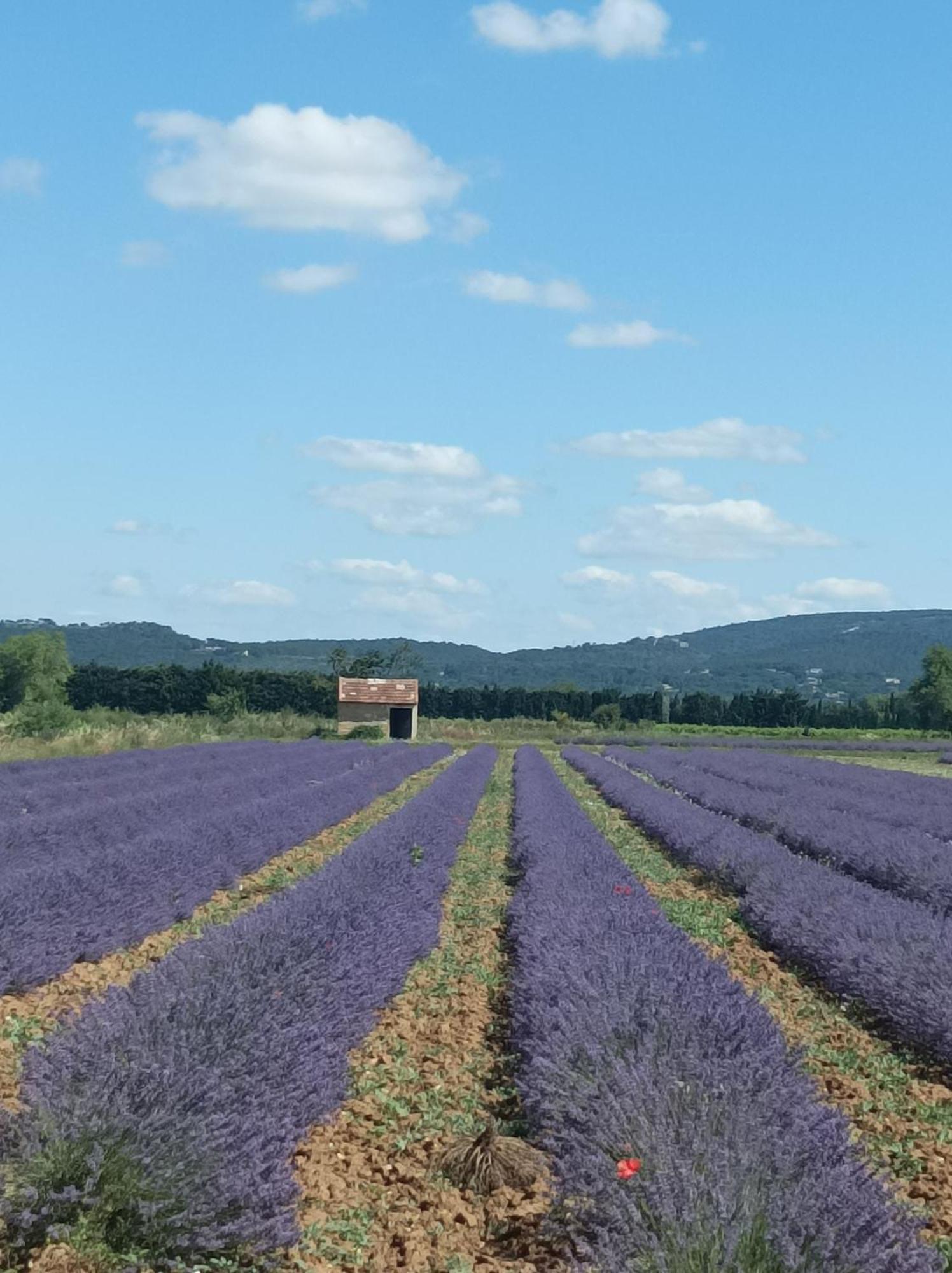 D'hotes Les Garrigues